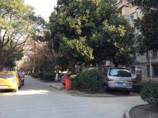 紧靠小区大门口的中套,便宜出售