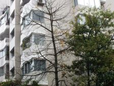 菁华北大1室1厅东北
