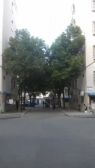 文汇新村 2室2厅 南