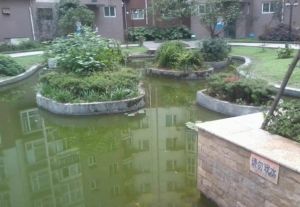 第一园 2室2厅 南