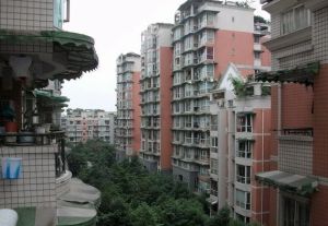 兴元花园二期 1室1厅 西南