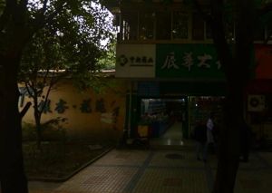 千和银杏花苑3室1厅东南