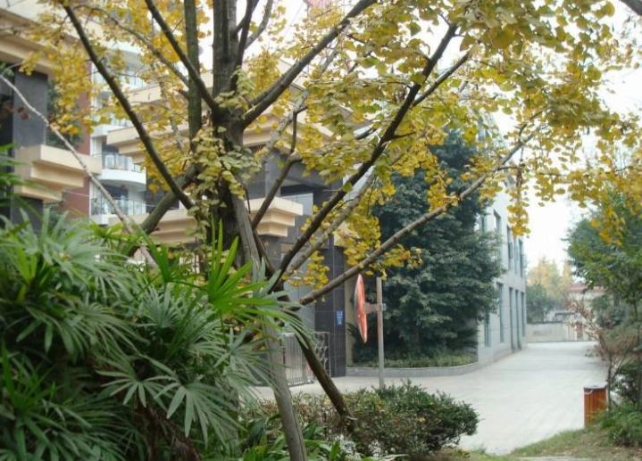 小区相关图