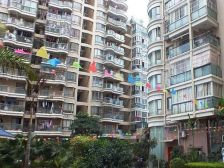 龙登天锦 3室2厅 南 北