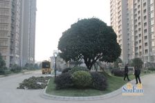 小区环境优美,地理位置好,靠地铁,配套齐全