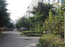 金泉阳光雅新苑2室2厅东北西南西南