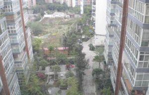 西郡香林 3室2厅 西北