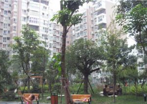 东篱居一期 3室2厅 北