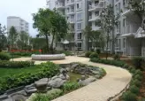 红树东方