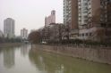 府河苑实景图
