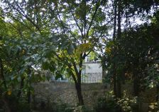 浣花溪山庄 6室3厅 北