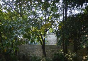 浣花溪山庄 6室3厅 北