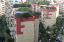 瑞升南园 3室1厅 南