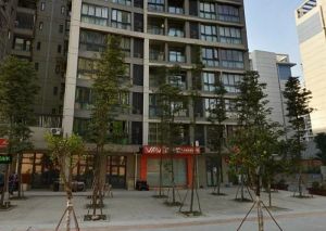 交大万通格外1室0厅东南