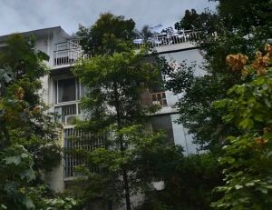 春语花间3室2厅南北