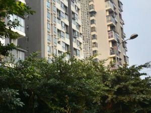 两河锦地3室2厅西南