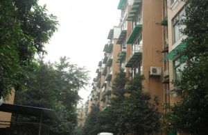 西藏阳光苑2室1厅东南南