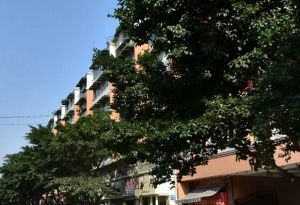 西藏阳光苑3室2厅东