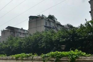 新绿苑3室2厅南北