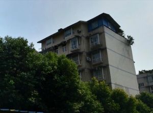 新绿苑 3室1厅 南