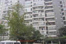 林荫嘉园1室1厅东南