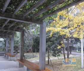 林荫嘉园2室1厅西