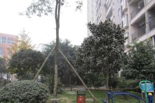林荫嘉园2室1厅西北