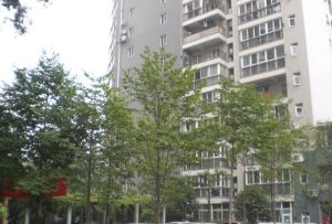 林荫嘉园1室1厅东南