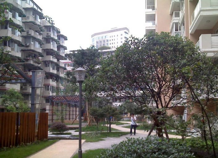 小区相关图