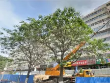 地段近主干道,交通方便,户型方正,适合刚需!