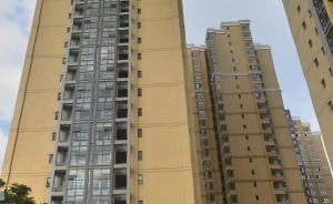 蓝润睿城1室1厅南