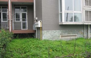桃园柳岸4室1厅西南