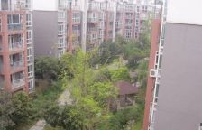 桃园柳岸3室2厅东