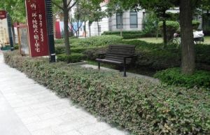 都市美丽洲4室2厅东