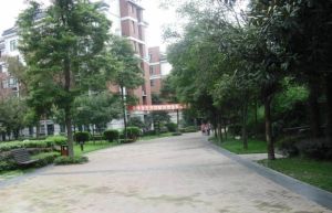 都市美丽洲3室2厅东南