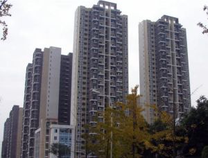 观澜东山3室1厅东南