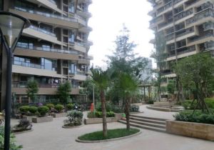 观澜东山3室2厅东南