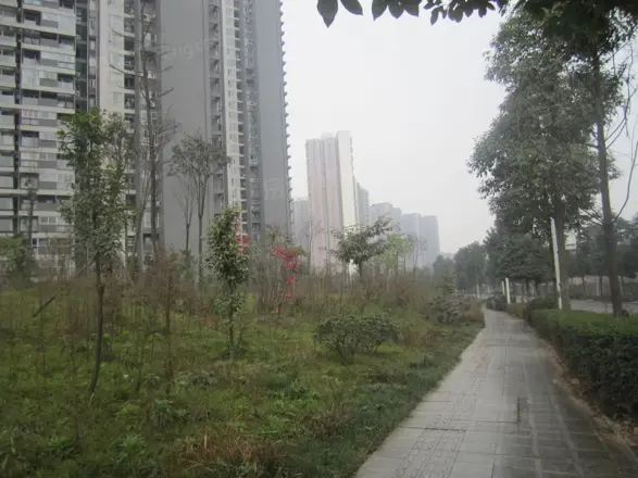 锦江城市花园一期