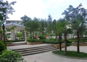 观澜东山3室1厅南