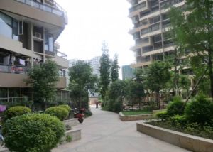观澜东山3室2厅东南
