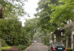 芙蓉古城紫云园4室2厅东南