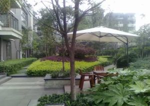 锦都四期 1室1厅 东南