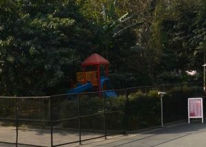 锦都四期 1室1厅 东南