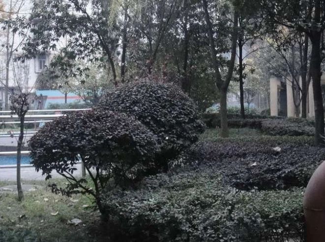 小区相关图