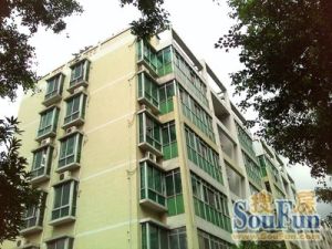 大良北区本原顺峰小区管理房提前约业主急售