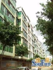 大良北区翠庭轩满五不唯一大三房双阳台