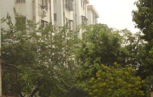 连云小区 1室1厅 东南 西北