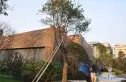 融信海上城实景图