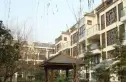 天韵金沙实景图