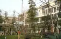 天韵金沙实景图